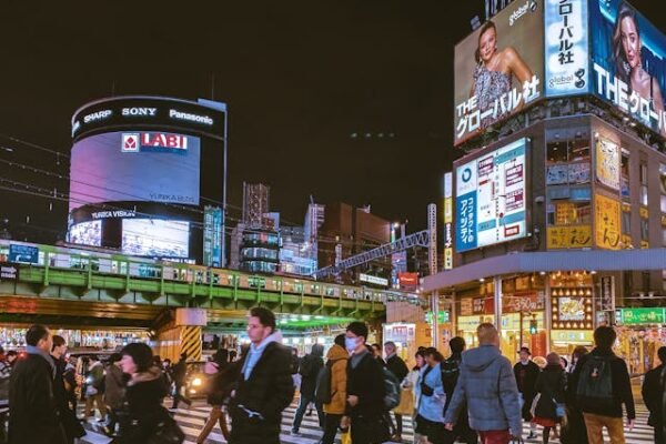 Découverte de Tokyo et ses environs