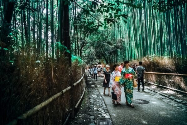 Découverte de Kyoto et ses environs