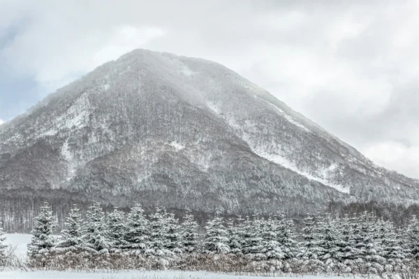 Séjour Hokkaido Intégral — Tour Complet du Grand Nord