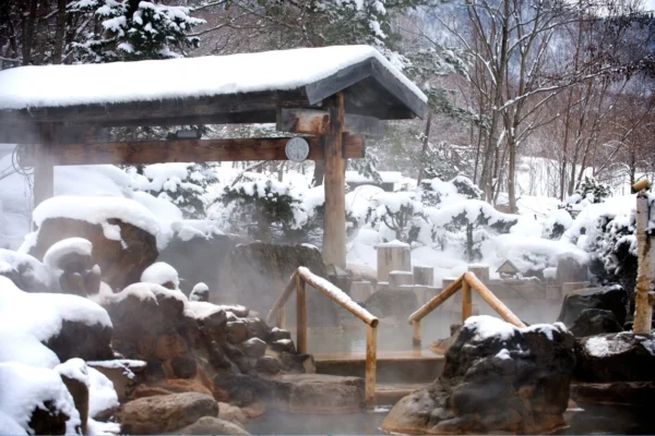 Séjour Hokkaido Intégral — Tour Complet du Grand Nord