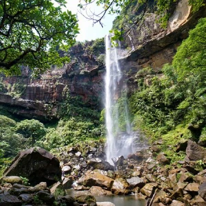 Iriomote